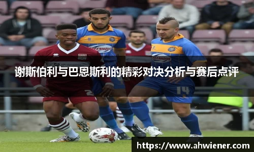 谢斯伯利与巴恩斯利的精彩对决分析与赛后点评